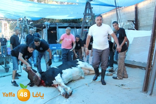 ada7y 116 n1 (25).JPG